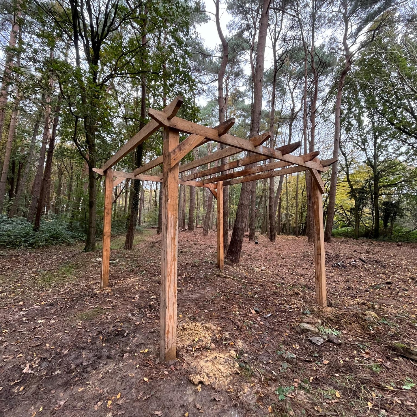 Green Oak Pergola 3m x 3m